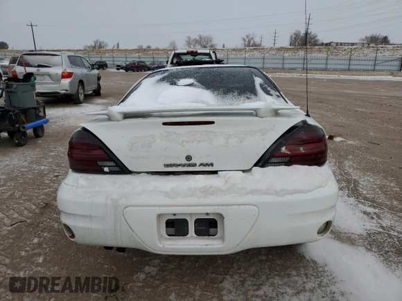 2004 Pontiac Grand Am SE with VIN 1G2NE52F74M580789, listed as a Copart auction lot 41447845 with 0 mi miles and Salvage Title. Bid and sale history available at carsss.com. Image 6.