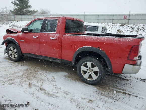 2010 Dodge Ram 1500 ST with VIN 1D7RV1GP0AS133161, listed as a Copart auction lot 87186654 with 204,667 mi miles and Clean Title. Bid and sale history available at carsss.com. Image 2.