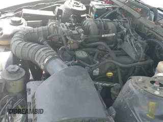 2008 Ford Mustang Deluxe с VIN 1ZVHT84N185117077, выставлен на аукционе IAAI как лот 42633281 с пробегом 145 846 миль миль и . История ставок и продаж доступна на DreamBid. Изображение 12.