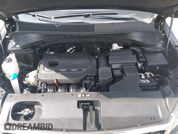 2019 Kia Sorento L z VIN 5XYPG4A39KG534430, wystawiony jako IAAI lot #42255655 z przebiegiem 167 437 mil mil oraz . Historia ofert i sprzedaży dostępna na DreamBid. Obrazek 10.