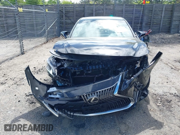 2019 Lexus ES 350 with VIN 58ABZ1B16KU042893, listed as a IAAI auction lot 42288578 with 13,765 mi miles and . Bid and sale history available at DreamBid. Image 12.