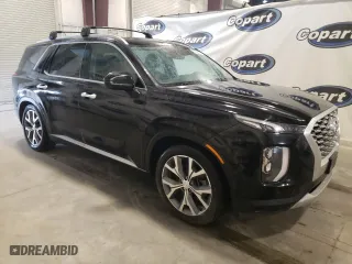 2020 Hyundai Palisade SEL with VIN KM8R4DHE3LU158229, listed as a Copart auction lot 49879385 with 127,044 mi miles and Clean Title. Bid and sale history available at carsss.com. Image 4.
