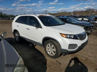 2011 Kia Sorento LX with VIN 5XYKTDA25BG124284, listed as a Copart auction lot 50099955 with 220,800 mi miles and Clean Title. Bid and sale history available at carsss.com. Image 4.