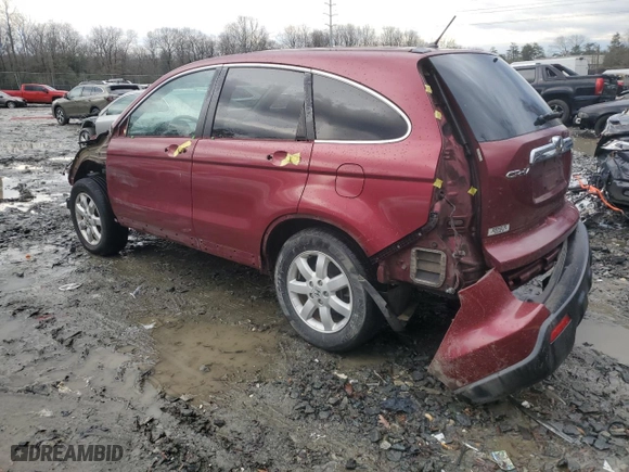 2009 Honda CR-V EX with VIN 5J6RE48559L046039, listed as a Copart auction lot 43125035 with 124,417 mi miles and Salvage Title. Bid and sale history available at carsss.com. Image 2.