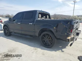 2015 Ford F-150 XLT with VIN 1FTEW1C81FKD32005, listed as a Copart auction lot 48294905 with 142,281 mi miles and Salvage Title. Bid and sale history available at carsss.com. Image 2.