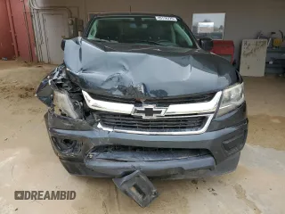 2018 Chevrolet Colorado 2WD LT with VIN 1GCGSCEA1J1241329, listed as a Copart auction lot 49176725 with Not Provided miles and Salvage Title. Bid and sale history available at DreamBid. Image 5.
