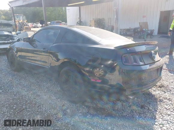 2013 Ford Mustang V6 with VIN 1ZVBP8AM7D5220360, listed as a IAAI auction lot 41994841 with 175,815 mi miles. Bid and sale history available at carsss.com. Image 3.