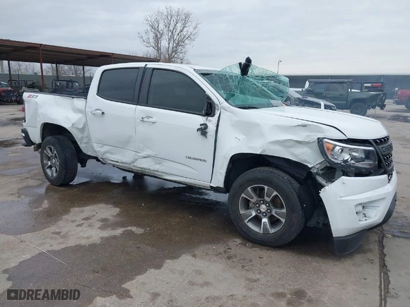 2019 Chevrolet Colorado 4WD Z71 with VIN 1GCGTDEN3K1317883, listed as a IAAI auction lot 41439010 with 34,306 mi miles. Bid and sale history available at carsss.com. Image 6.
