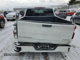 2024 Chevrolet Silverado 1500 Custom with VIN 1GCPDBEK4RZ339121, listed as a Copart auction lot 86582474 with Not Provided miles and Salvage Title. Bid and sale history available at DreamBid. Image 6.