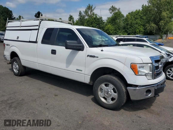 2014 Ford F-150 XL with VIN 1FTFX1ET0EKD17173, listed as a Copart auction lot 59056345 with 185,804 mi miles and Salvage title. Bid and sale history available at DreamBid. Image 4.