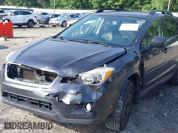 2014 Subaru Crosstrek Limited with VIN JF2GPAGCXE8205478, listed as a IAAI auction lot 42456340 with 143,820 mi miles and . Bid and sale history available at DreamBid. Image 6.