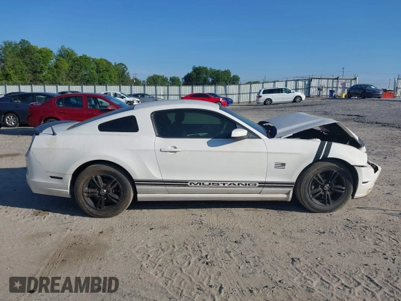 2013 Ford Mustang V6 z VIN 1ZVBP8AM6D5275978, wystawiony jako IAAI lot #42624967 z przebiegiem 134 589 mil mil oraz . Historia ofert i sprzedaży dostępna na DreamBid. Obrazek 13.