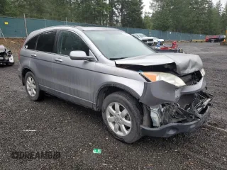 2007 Honda CR-V EX-L with VIN JHLRE48777C087716, listed as a Copart auction lot 50307695 with 203,923 mi miles and Salvage Title. Bid and sale history available at DreamBid. Image 4.