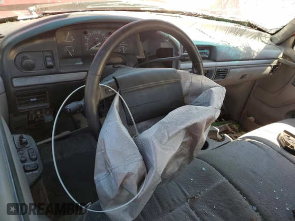 1995 Ford F-150 with VIN 1FTEF15N8SNA75419, listed as a Copart auction lot 74993694 with 0 mi miles and Salvage Title. Bid and sale history available at carsss.com. Image 8.