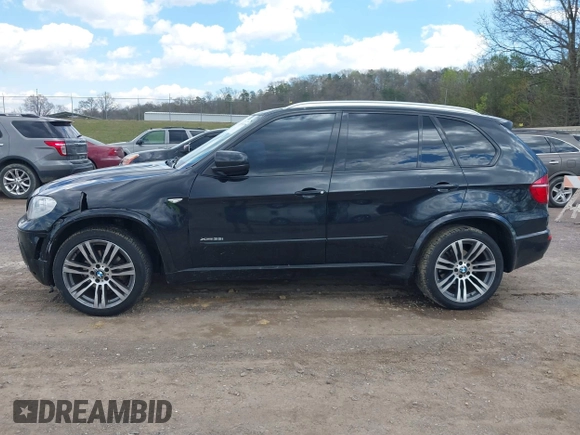 2013 BMW X5 xDrive35i z VIN 5UXZV4C51D0E11079, wystawiony jako IAAI lot #41875305 z przebiegiem 161 861 mil mil oraz . Historia ofert i sprzedaży dostępna na DreamBid. Obrazek 14.