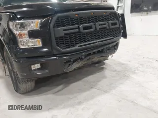 2017 Ford F-150 XL with VIN 1FTEX1EP0HFB72292, listed as a IAAI auction lot 41649699 with 102,132 mi miles. Bid and sale history available at carsss.com. Image 6.