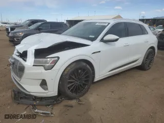 2019 Audi e-tron Premium Plus with VIN WA1LABGE1KB022369, listed as a Copart auction lot 49403325 with 51,511 mi miles and Salvage Title. Bid and sale history available at carsss.com. Image 1.