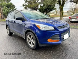 2015 Ford Escape S with VIN 1FMCU0F75FUC13139, listed as a Copart auction lot 53173055 with 0 mi miles and Clean Title. Bid and sale history available at carsss.com. Image 1.