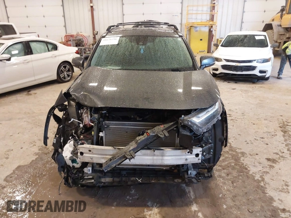 2023 Toyota RAV4 XLE with VIN 2T3P1RFV6PW394208, listed as a IAAI auction lot 41678296 with 37,090 mi miles and . Bid and sale history available at DreamBid. Image 12.