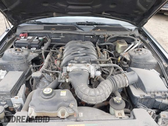 2006 Ford Mustang GT Deluxe with VIN 1ZVHT82H965112395, listed as a IAAI auction lot 41895837 with 89,804 mi miles and . Bid and sale history available at carsss.com. Image 10.