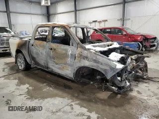 2010 Dodge 1500 SLT with VIN 1D7RV1CT1AS230050, listed as a Copart auction lot 44430295 with Not Provided miles and Salvage Title. Bid and sale history available at carsss.com. Image 4.