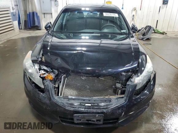2011 Honda Accord EX with VIN 1HGCP2F7XBA031215, listed as a Copart auction lot 56638195 with 217,477 mi miles and Salvage title. Bid and sale history available at DreamBid. Image 5.