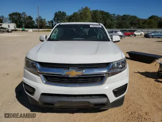 2017 Chevrolet Colorado 2WD WT with VIN 1GCGSBEA2H1193036, listed as a Copart auction lot 76692834 with 0 mi miles and Salvage Title. Bid and sale history available at carsss.com. Image 5.
