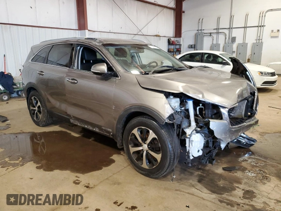 2017 Kia Sorento EX with VIN 5XYPHDA58HG313991, listed as a Copart auction lot 51443515 with 116,530 mi miles and Salvage Title. Bid and sale history available at DreamBid. Image 4.