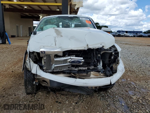 2012 Ford F-150 XL with VIN 1FTFW1EF3CKE14863, listed as a Copart auction lot 59115825 with 218,738 mi miles and Salvage title. Bid and sale history available at DreamBid. Image 5.