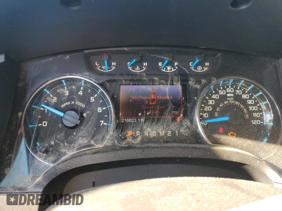 2013 Ford F-150 XL with VIN 1FTFW1CT9DFA26524, listed as a Copart auction lot 49811955 with 216,823 mi miles and Salvage Title. Bid and sale history available at carsss.com. Image 9.