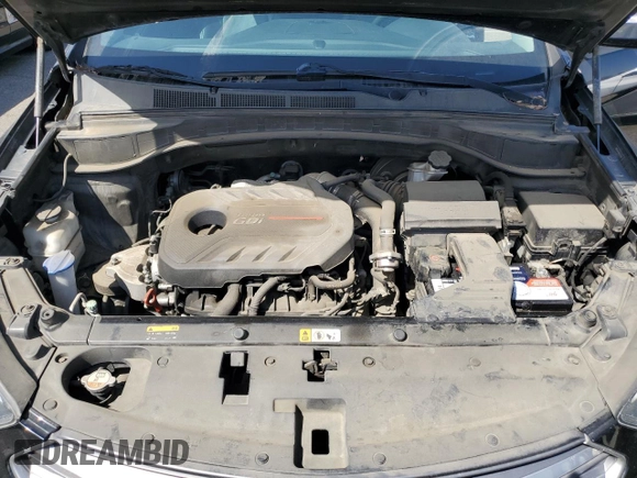 2017 Hyundai Santa Fe Sport 2.0T with VIN 5NMZU4LA9HH039205, listed as a Copart auction lot 51865695 with 176,842 mi miles and Clean Title. Bid and sale history available at carsss.com. Image 12.