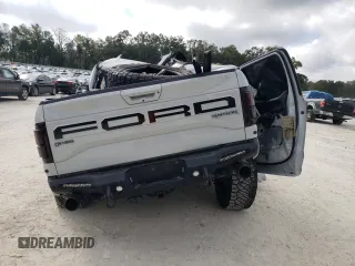 2017 Ford F-150 Raptor with VIN 1FTFW1RG0HFB64324, listed as a Copart auction lot 44772605 with Not Provided miles and Non Repairable. Bid and sale history available at carsss.com. Image 6.