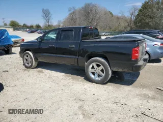 2008 Dodge Dakota Bighorn/Lonestar z VIN 1D7HE38K18S621586, wystawiony jako Copart lot #50842495 z przebiegiem 230 002 mil mil oraz Szkoda całkowita • Salvage title. Historia ofert i sprzedaży dostępna na DreamBid. Obrazek 2.