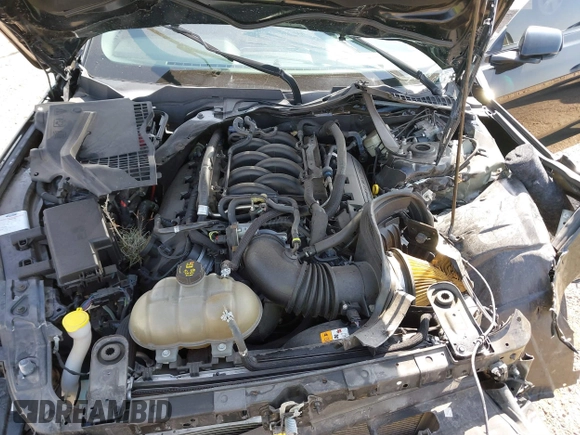 2017 Ford Mustang GT with VIN 1FA6P8CF3H5265441, listed as a IAAI auction lot 41742513 with 19,345 mi miles and . Bid and sale history available at DreamBid. Image 10.