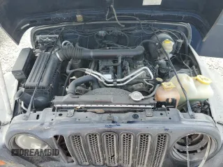 2004 Jeep Wrangler X with VIN 1J4FA39S64P717135, listed as a Copart auction lot 66358954 with 166,948 mi miles and Clean Title. Bid and sale history available at carsss.com. Image 11.