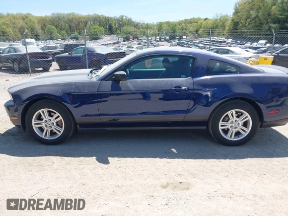2012 Ford Mustang Premium with VIN 1ZVBP8AM3C5253841, listed as a IAAI auction lot 42157276 with 58,054 mi miles and . Bid and sale history available at DreamBid. Image 14.