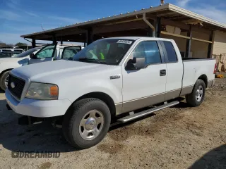 2006 Ford F-150 XLT with VIN 1FTPX125X6NA41367, listed as a Copart auction lot 46435025 with 191,308 mi miles and Salvage Title. Bid and sale history available at carsss.com. Image 1.