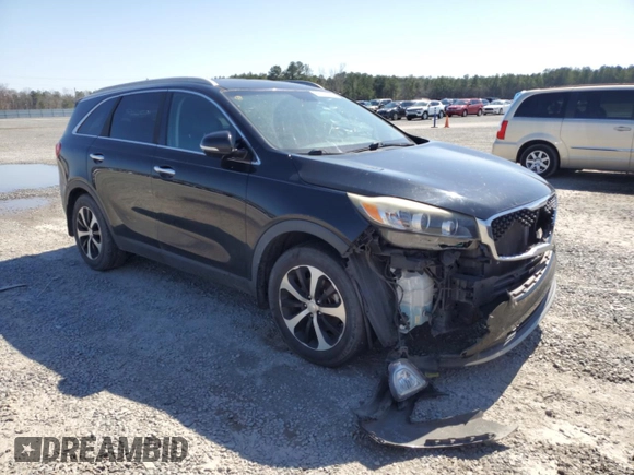 2016 Kia Sorento EX with VIN 5XYPH4A51GG146842, listed as a Copart auction lot 48959695 with 148,574 mi miles and Salvage Title. Bid and sale history available at carsss.com. Image 4.