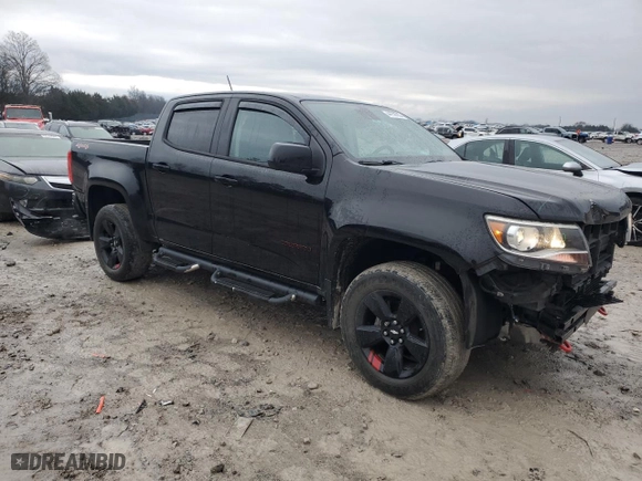 2019 Chevrolet Colorado 4WD LT with VIN 1GCGTCEN5K1127822, listed as a Copart auction lot 44759785 with 67,043 mi miles and Salvage Title. Bid and sale history available at carsss.com. Image 4.