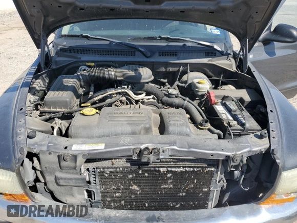 2003 Dodge Dakota SLT with VIN 1D7HL48X03S114761, listed as a Copart auction lot 52323405 with 137,105 mi miles and Salvage Title. Bid and sale history available at carsss.com. Image 11.