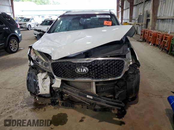 2017 Kia Sorento EX with VIN 5XYPH4A16HG257031, listed as a Copart auction lot 70830874 with Not provided miles and Salvage title. Bid and sale history available at DreamBid. Image 5.