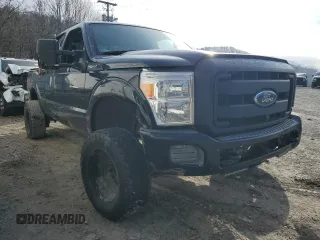 2016 Ford F-250 XLT with VIN 1FT7X2B67GEA84340, listed as a Copart auction lot 46098355 with 176,549 mi miles and Non repairable. Bid and sale history available at DreamBid. Image 4.