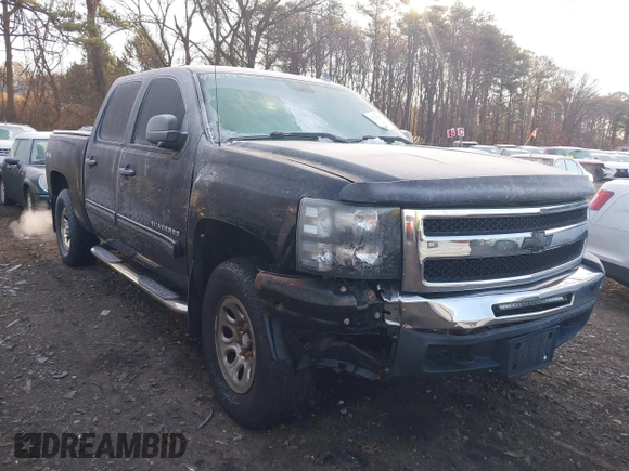 2010 Chevrolet Silverado 1500 LS with VIN 3GCRKREA9AG151200, listed as a IAAI auction lot 41172064 with 113,662 mi miles. Bid and sale history available at carsss.com. Image 6.
