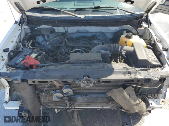 2011 Ford F-150 XL with VIN 1FTFX1CF6BFB05458, listed as a Copart auction lot 53315125 with 227,568 mi miles and Salvage Title. Bid and sale history available at carsss.com. Image 11.