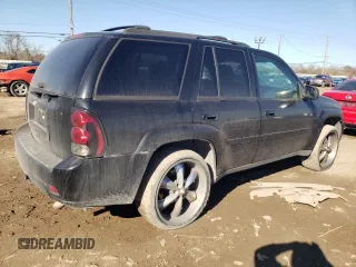 2008 Chevrolet TrailBlazer 1LT with VIN 1GNDT13S582202089, listed as a Copart auction lot 89358285 with 176,407 mi miles and Salvage Title. Bid and sale history available at DreamBid. Image 3.