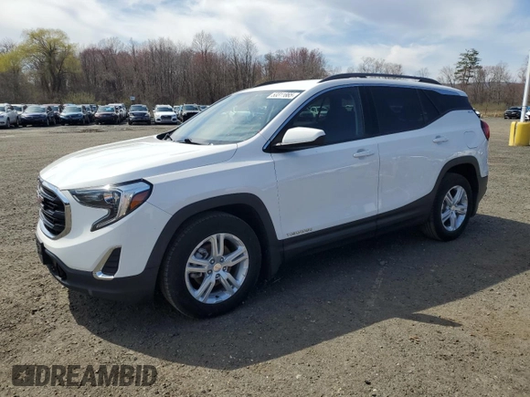 2020 GMC Terrain SLE z VIN 3GKALMEV8LL108210, wystawiony jako Copart lot #53311865 z przebiegiem 216 100 mil mil oraz Czysty tytuł • Clean title. Historia ofert i sprzedaży dostępna na DreamBid. Obrazek 1.