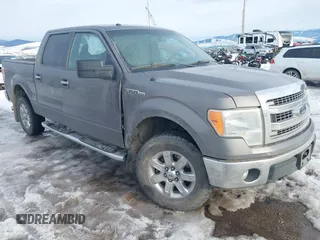 2014 Ford F-150 XL with VIN 1FTFW1EF8EKF96899, listed as a IAAI auction lot 41512811 with 79,070 mi miles and . Bid and sale history available at DreamBid. Image 1.