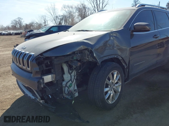 2015 Jeep Cherokee Limited with VIN 1C4PJMDS1FW533060, listed as a IAAI auction lot 41796305 with 199,175 mi miles and . Bid and sale history available at DreamBid. Image 6.