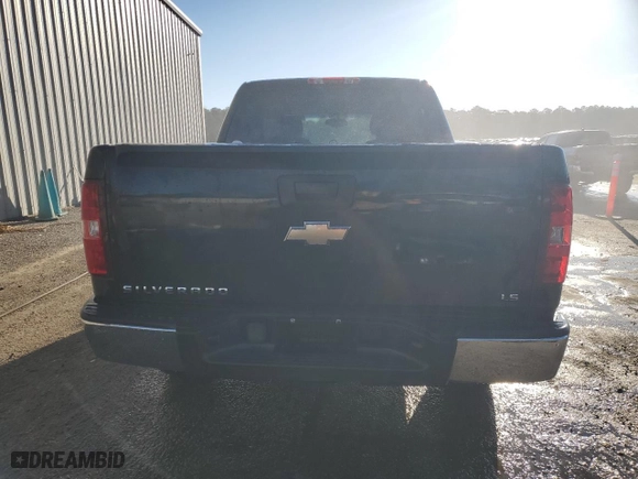 2009 Chevrolet Silverado 1500 LS with VIN 3GCEC13C39G238071, listed as a Copart auction lot 86747064 with 113,077 mi miles and Salvage Title. Bid and sale history available at carsss.com. Image 6.