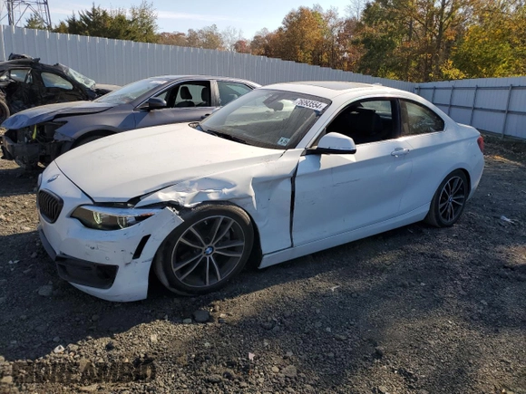 2020 BMW 2 Series 230i xDrive with VIN WBA2J3C02L7E59660, listed as a Copart auction lot 76093554 with 16,310 mi miles and Salvage Title. Bid and sale history available at carsss.com. Image 1.